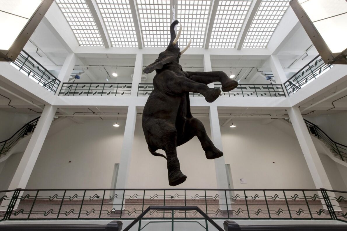 Старая фабрика Ликеров и Коньяков в Стамбуле (Галерея Пилевнели)