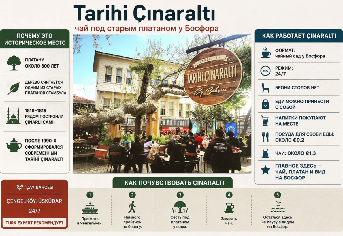 Tarihi Çınaraltı в Ченгелькёе: чай под старым платаном на берегу Босфора